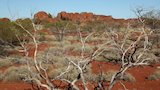 The Red Desert