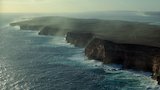 The Coast of the Whalesharks