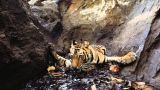 Nat Geo's Top 10 Photos of 2011