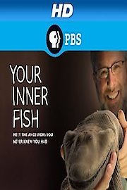 Your Inner Fish