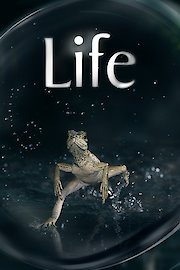 Life UK