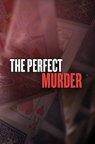 The Perfect Murder