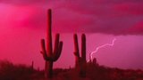 Indian Monsoon