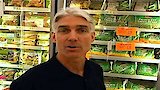 Arthritis Diet & Nutrition