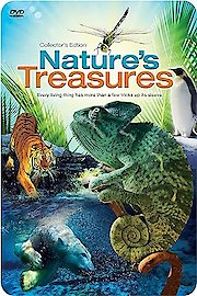 Nature's Treasures