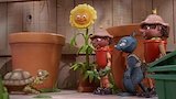 The Tortoise and the Pots