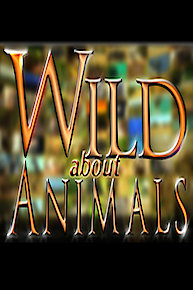 Wild About Animals