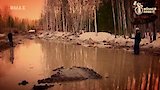 River Of Mud