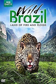 Wild Brazil