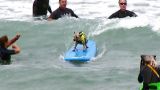 Beaches, Dunes & Don'ts