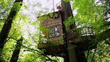 Ultimate Treehouses IV