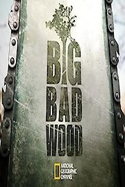 Big Bad Wood