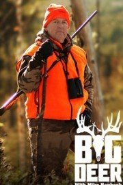 Big Deer TV