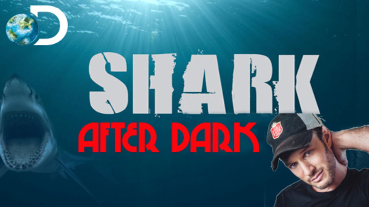 Shark After Dark