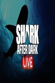 Shark After Dark