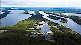 Amazon River Islands: The Floating Forests