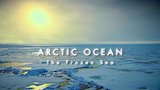 Arctic Ocean: The Frozen Sea