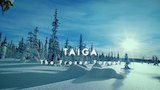 Taiga: The Frozen Forests