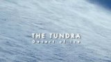 Tundra: Desert of Ice