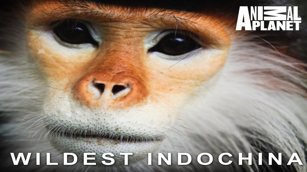 Wildest Indochina