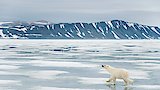 Svalbard