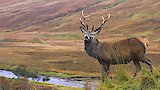 Scottish Highlands