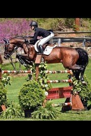 Equestrian