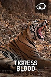 Tigress Blood