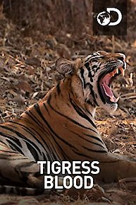 Tigress Blood