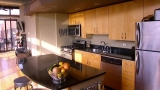 Downtown Chicago Loft Hunt