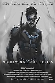 Nightwing: The Series