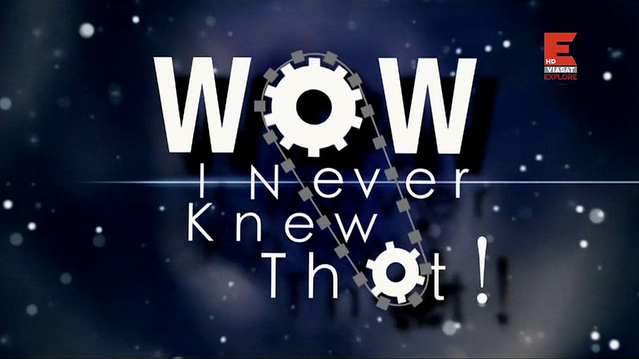 Wow, I Never Knew That!