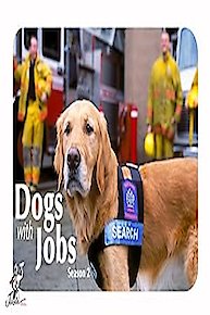 Dogs with Jobs