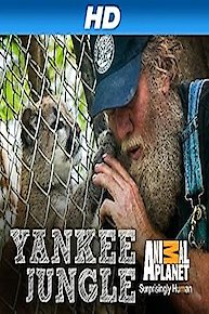 Yankee Jungle