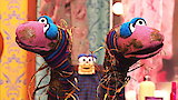 The Furchester Fashion Show