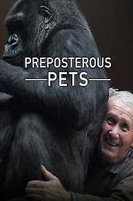 Preposterous Pets