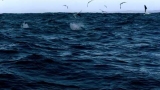 Deep Water Death Match