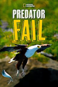 Predator Fails