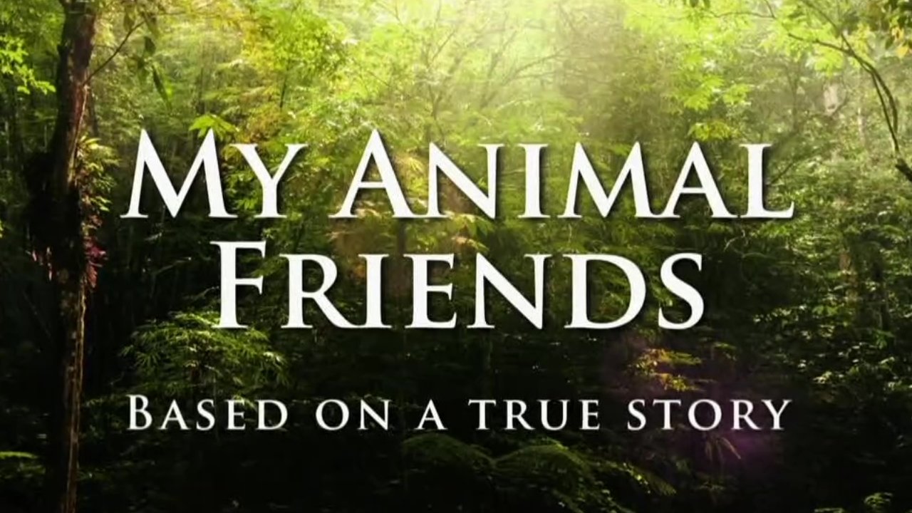 My Animal Friends