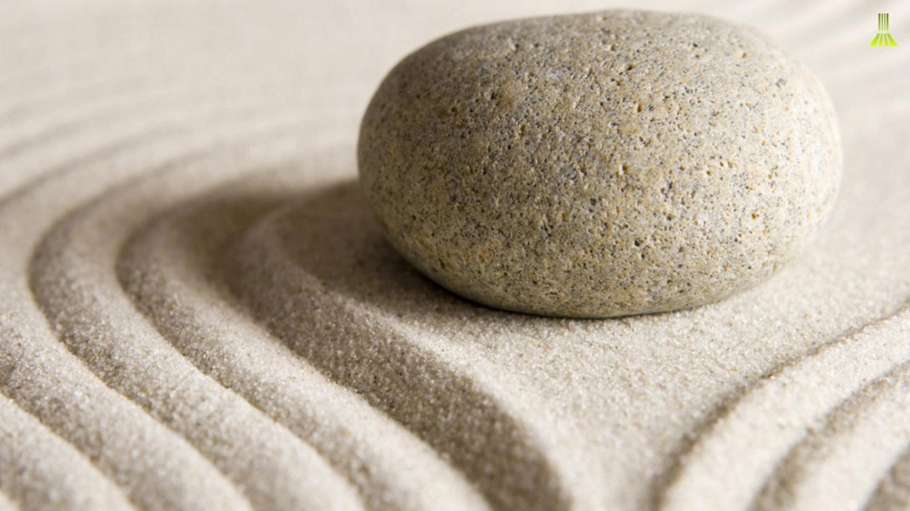 Practicing Mindfulness: An Introduction to Meditation