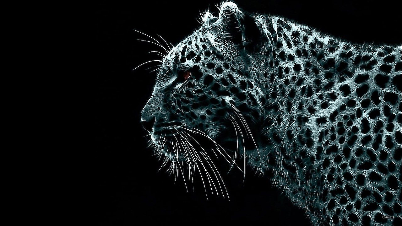 Wild Asia