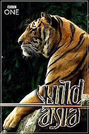 Wild Asia
