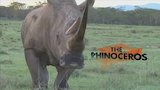 Tigers, Rhinos & Naked Mole Rats