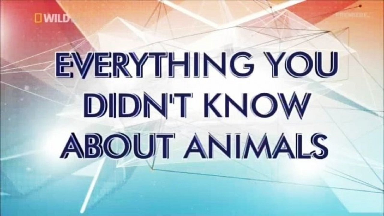 Everything You Didn't Know About Animals