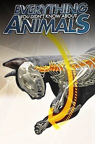 Everything You Didn't Know About Animals
