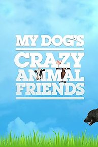 My Dog's Crazy Animal Friends