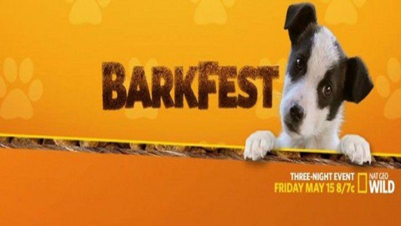 BarkFest