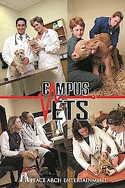 Campus Vets