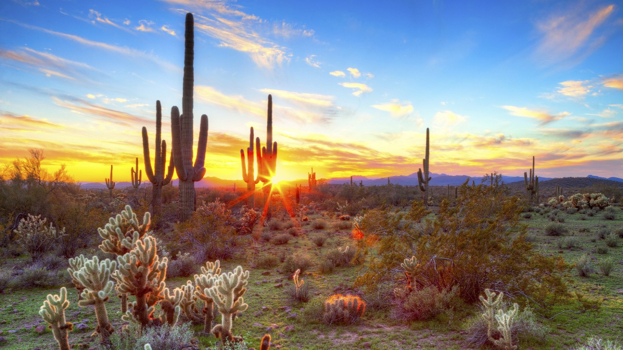 Canyon Ranch: Yoga for Strength & Energy