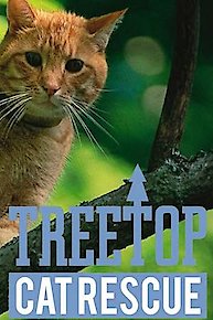 Treetop Cat Rescue